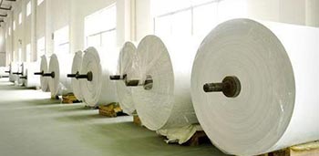 Tissue and Printing Paper Jumbo Rolls