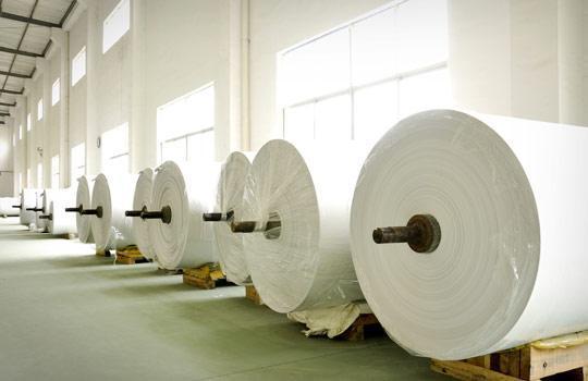 Tisssue and Printing Paper Jumbo Rolls